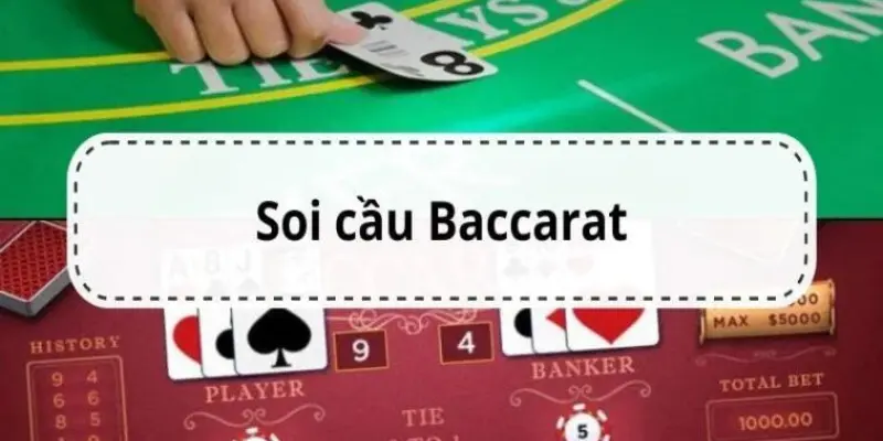 Hướng dẫn cách sử dụng app soi cầu baccarat hiệu quả